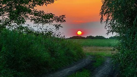 Народный календарь на 9 июля: что можно и нельзя делать, приметы и праздники