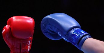 Гродненские боксеры принимают участие в чемпионате Европы в Белграде