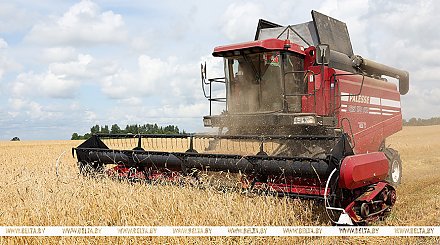 Почти 70% озимого ячменя убрано в Беларуси