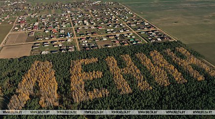 Идешь по лесу, а там - Ленин. Гигантское напоминание об СССР спрятано в лесах Беларуси