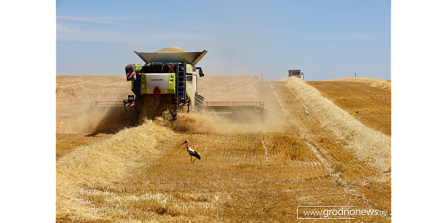 Победители областного соревнования за достижение высоких показателей на уборке урожая зерновых и зернобобовых культур