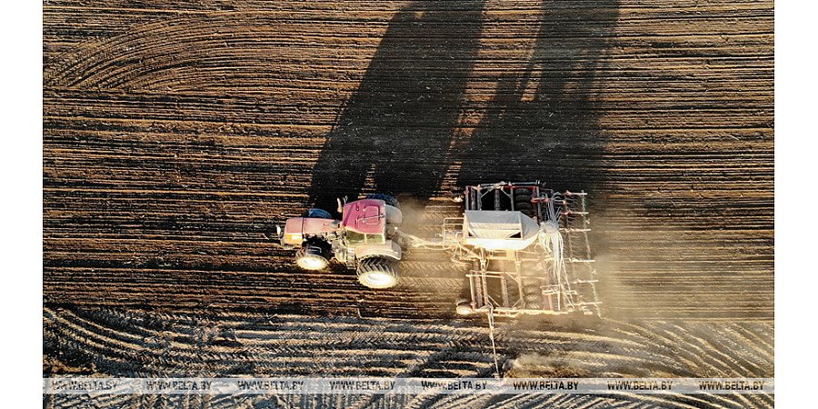 Сев ранних яровых в этом году начнется позже из-за погоды - Белгидромет