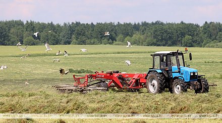 Месячник безопасного труда начался в сельхозорганизациях Гродненской области
