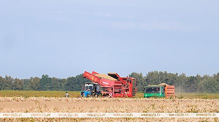 Александр Лукашенко потребовал усилить культуру земледелия