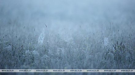 Кратковременные дожди и туман. Синоптики рассказали о погоде 20-24 сентября