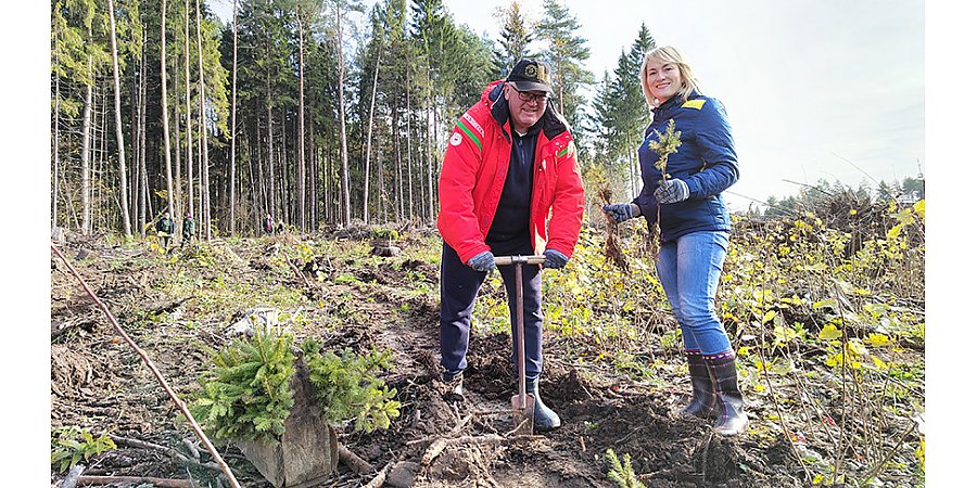 Игорь Карпенко: посадка леса - дело государственной и общественной важности