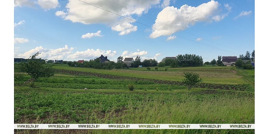 Тепло, но с осадками. Какой погоды ждать белорусам сегодня