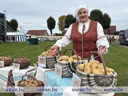 На «Бульба-фэсце» представлены лучшие сорта картофеля