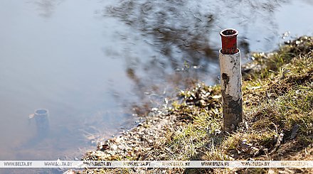 О подтоплениях в нескольких районах Беларуси рассказали в МЧС