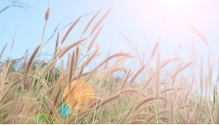 Народные приметы на 20 августа: что можно и нельзя делать в этот день