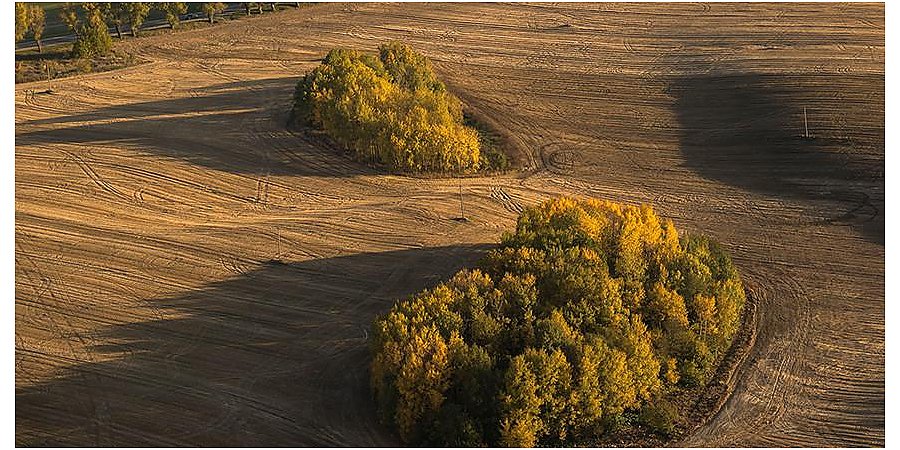 В Минприроды заявили об уменьшении количества загрязненных радиацией земель в Беларуси