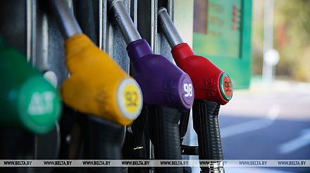 В "Белнефтехиме" рассказали, почему приостановился рост цен на топливо на АЗС
