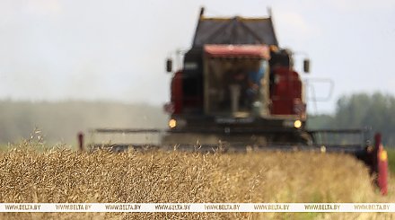 Минтруда: в разгар уборочной на особом контроле условия работы на предприятиях АПК