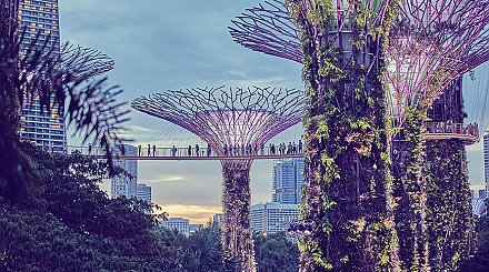 "Нейросеть" стало словом 2023 года по версии портала "Грамота.ру"