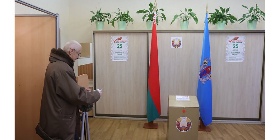 ЦИК: за четыре дня в досрочном голосовании на выборах депутатов приняли участие 33,61% избирателей