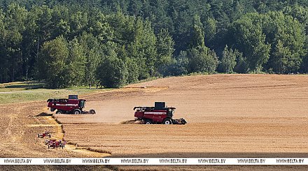 Александр Лукашенко в полях инспектирует ход уборочной кампании