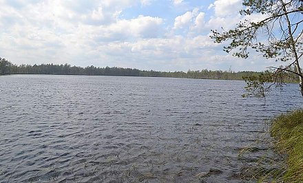 Glacier tracks, a chain of six lakes. Guide to nature reserves of local importance in the project "Grodno Region: Reserved World"
