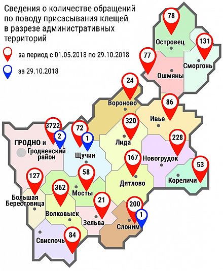 Пункты упрощенного пропуска на белорусско-литовской границе 1 и 2 ноября изменят режим работы