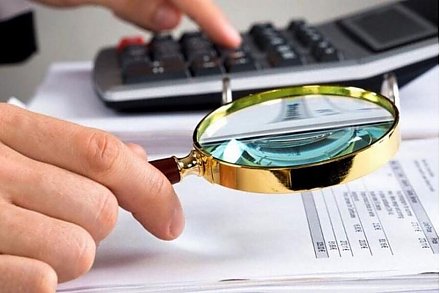 КГК организует 12 сентября горячую линию по вопросам закупки плодоовощной продукции у населения