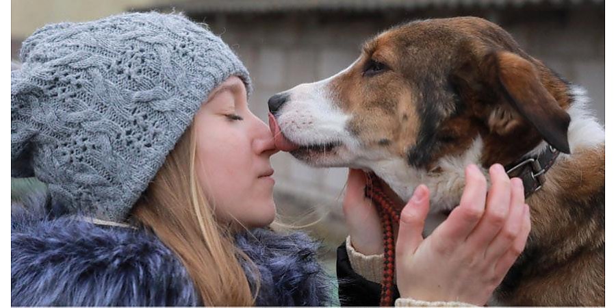 Слова Александра Лукашенко о недопустимости жестокости к животным обнадежили зоозащитников Беларуси