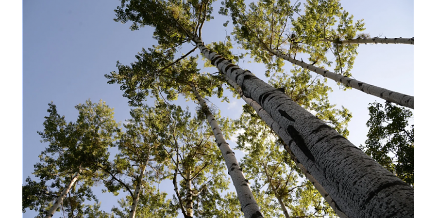 Народные приметы на 5 октября: что можно и нельзя делать в этот день