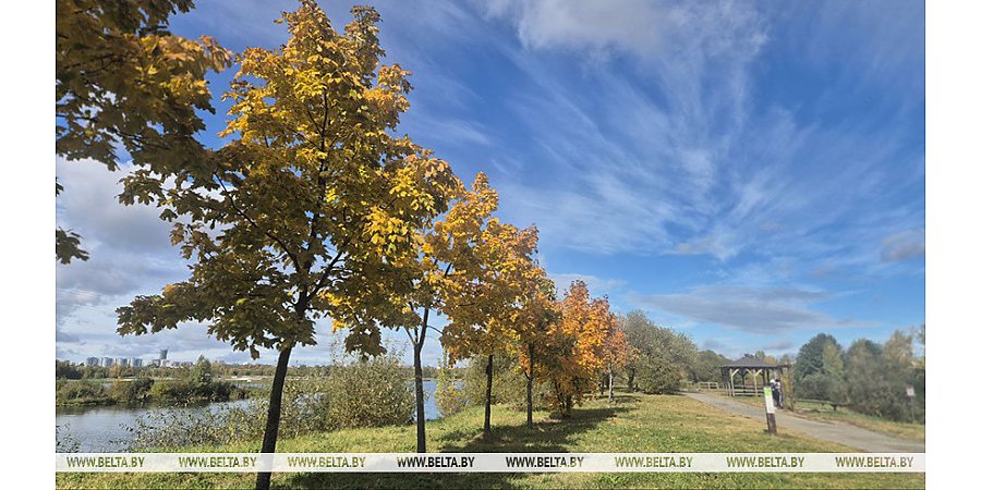 До +12°С тепла будет сегодня в Беларуси