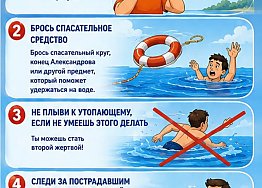 Новости