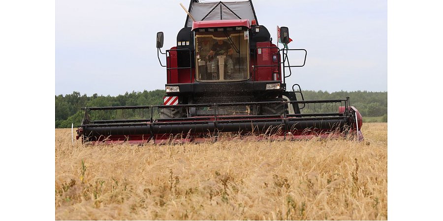 В Вороновском районе завершена уборка озимого ячменя