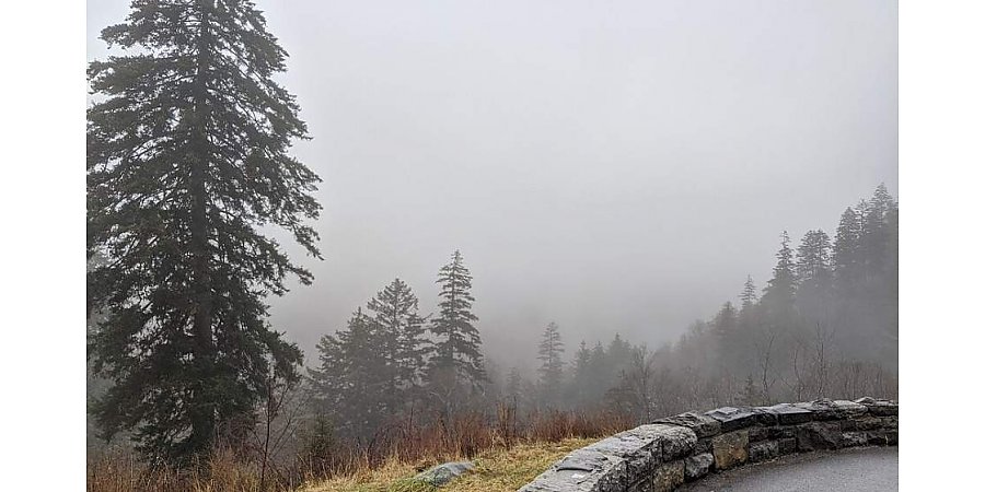 Дожди, мокрый снег и порывистый ветер прогнозируются 1 февраля в Беларуси