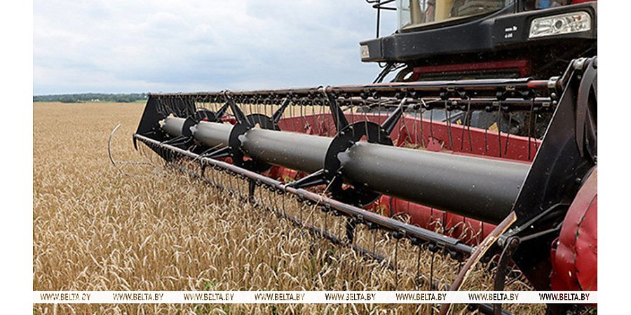 Зерновые и зернобобовые культуры с кукурузой убраны с 99% площадей