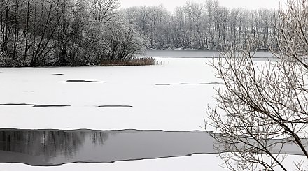 Ждать ли в Беларуси сегодня снега с дождем? Ответили синоптики