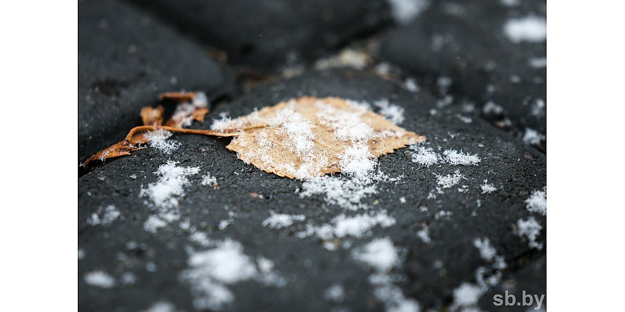 Погода в выходные: мокрый снег, туман, слабый гололед и от -9 °С до +5 °С