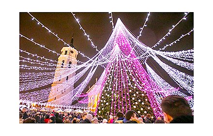 На кафедральной площади в Вильнюсе поставили «самую красивую елку» в Европе