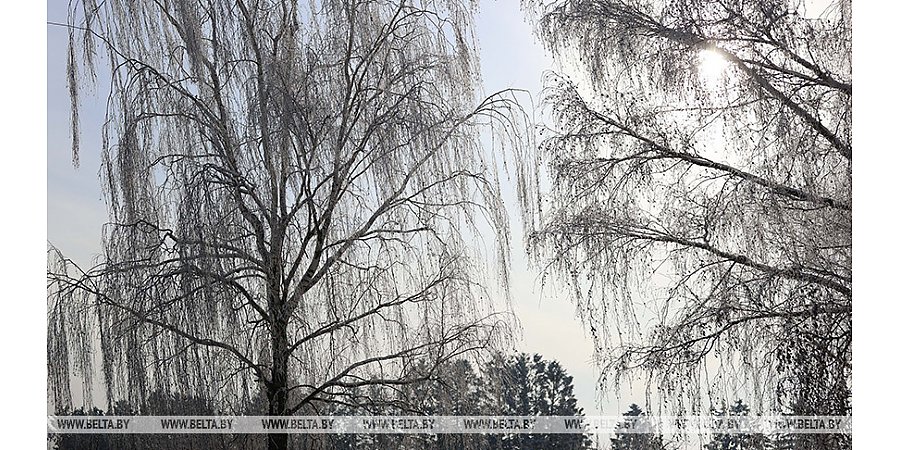 МЧС напоминает о правилах безопасности во время сильного ветра