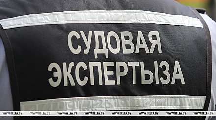 В Лидском районе на заброшенном участке нашли останки человека