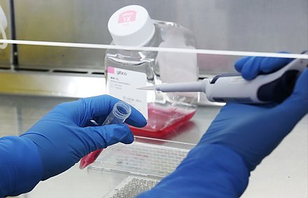 Первый случай заражения коронавирусом подтвердился в Бельгии