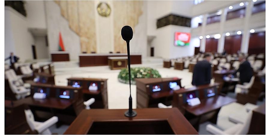 Александр Лукашенко принял предложение парламентариев - Эйсмонт раскрыла подробности предстоящей встречи в Овальном зале