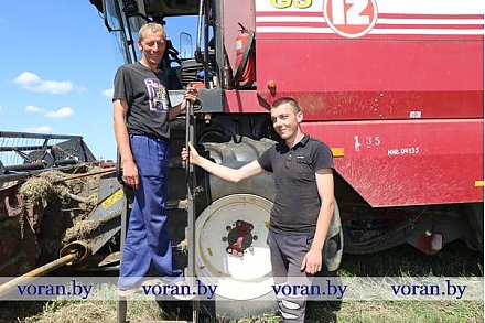 В Вороновском районе массовая уборка зерновых и зернобобовых культур практически завершена