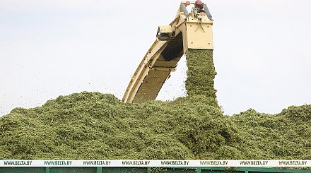 В Беларуси заготовлено около 60% трав первого укоса