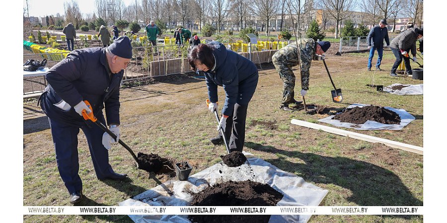 Кочанова рассказала, почему традиция проведения субботников должна передаваться из поколения в поколение