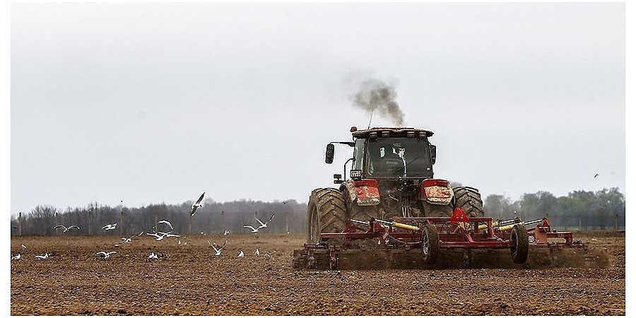 В Беларуси завершили сев сахарной свеклы