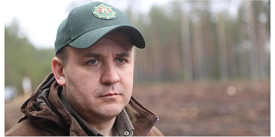 Новые леса на площади не менее 2,8 тыс. га планируют создать в Беларуси за время акции "Неделя леса"