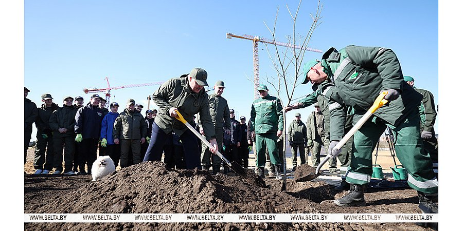 "Идеальная технология!" Александр Лукашенко посадил первое дерево в парке Народного единства