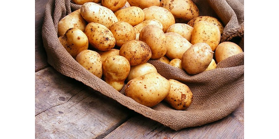 В Беларуси установили максимальную цену на картофель
