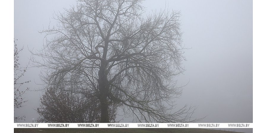 Дождь, мокрый снег и гололед. Какой будет погода в Беларуси в первый день зимы