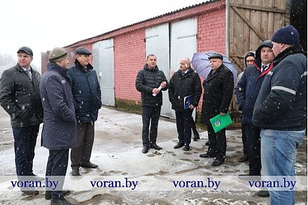 На базе сельхозпредприятий Вороновского, Ивьевского и Лидского районов прошел областной семинар-совещание