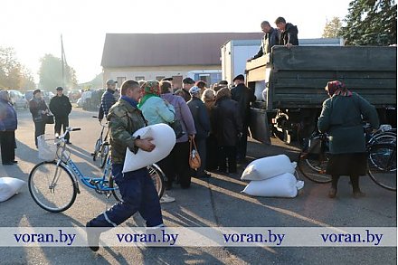 Сегодня в Вороновском районе прошли сельскохозяйственные ярмарки