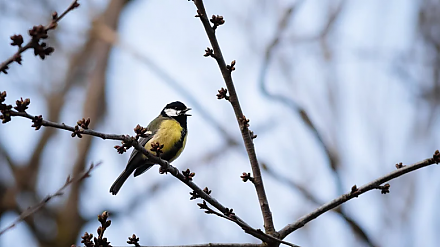 Помогите близким в Григорьев день: народные приметы на 7 февраля