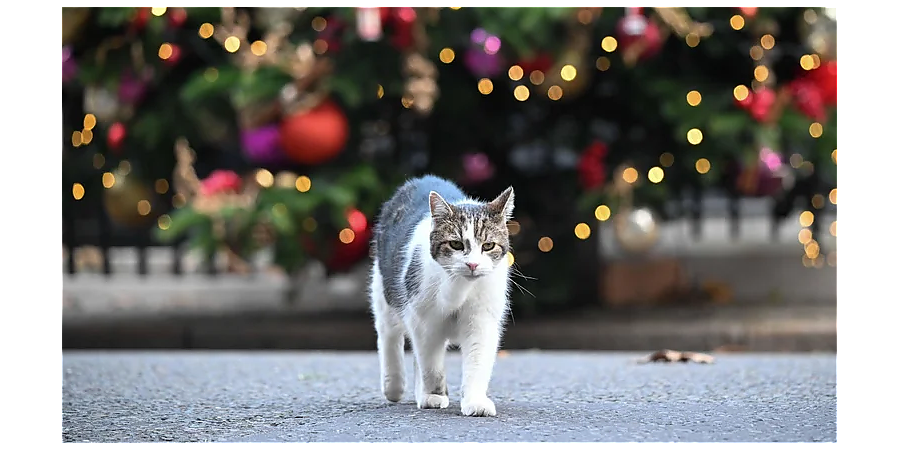 Начните соблюдать ограничения: народные приметы на 28 ноября 