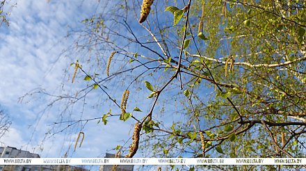 Станет ли теплее? Какой будет погода 16 апреля, рассказали синоптики